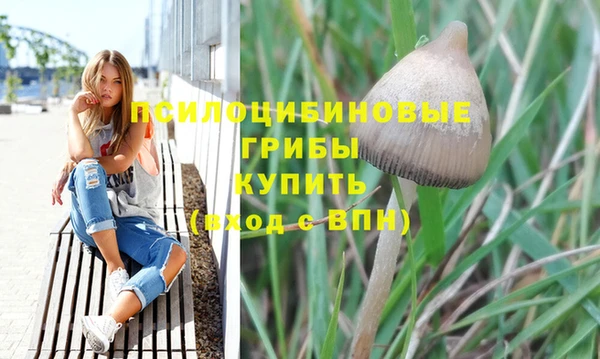 мет Нея