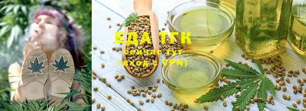 гашик Гатчина