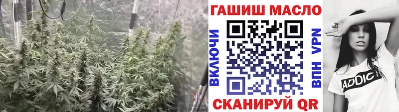 Дистиллят ТГК гашишное масло  Пересвет 